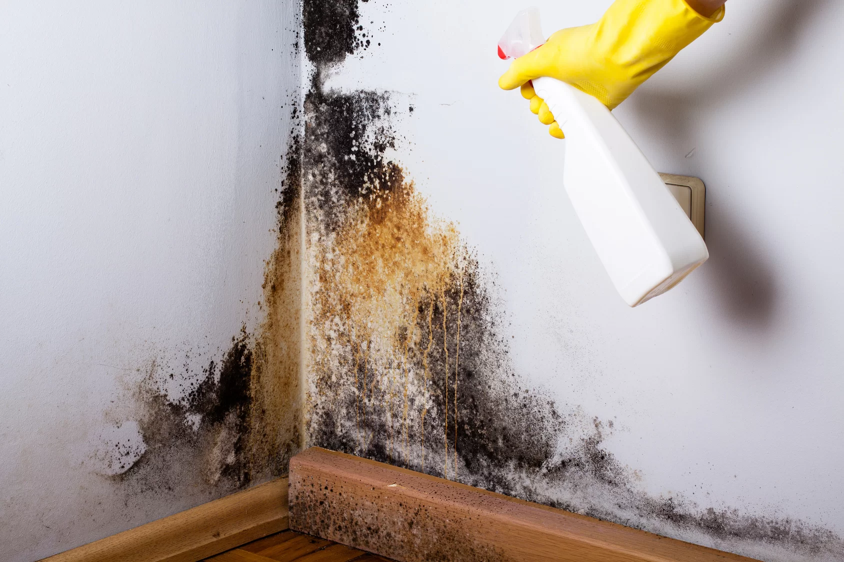 Mold-Remediation-in-Commercial-Building